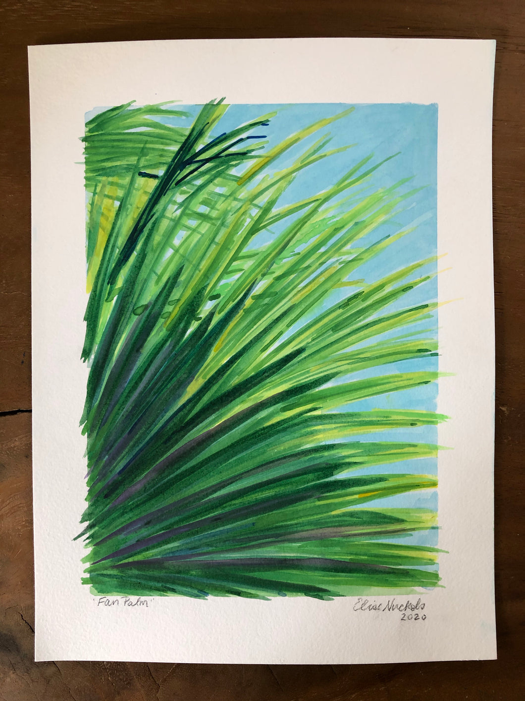 Fan Palm