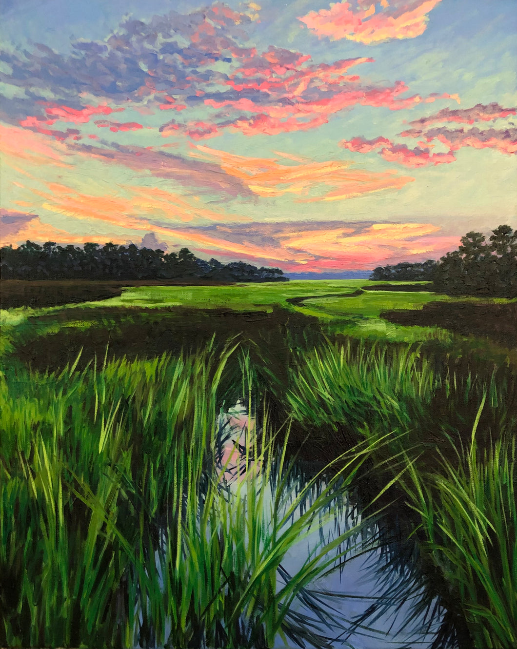Last Light on the Marsh Grass