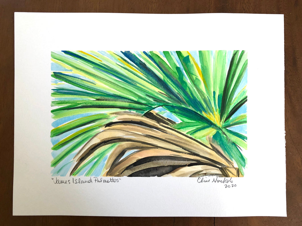 James Island Palmetto