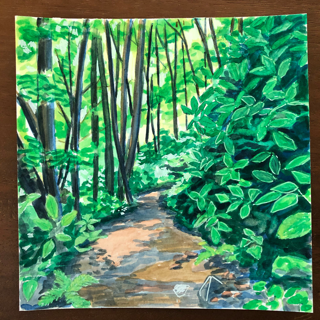 Hemlock Falls Trail