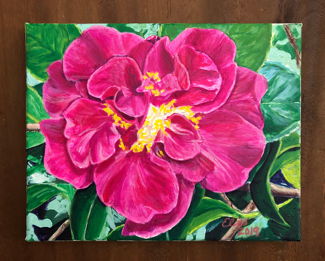 ‘Major General Pender’ Camellia