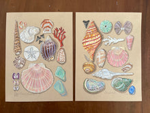 Beachcombing 26
