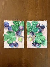 Figs on Pink II