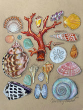 Beachcombing 15