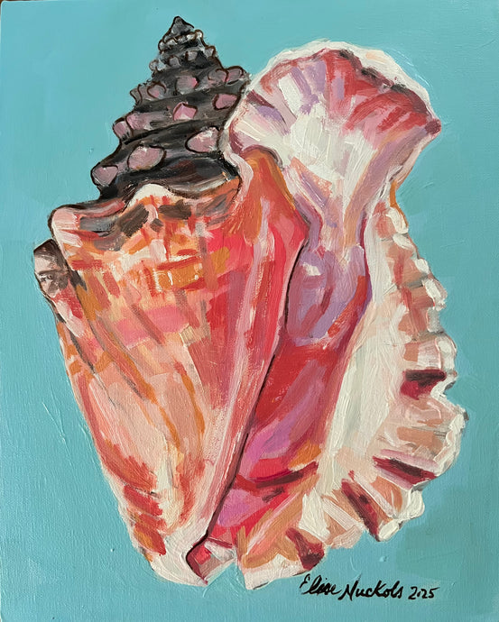 Queen Conch Shell