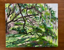 Under the Live Oaks
