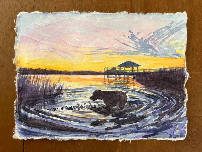 Sunset Swim