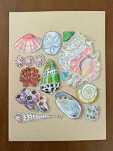 Beachcombing 13