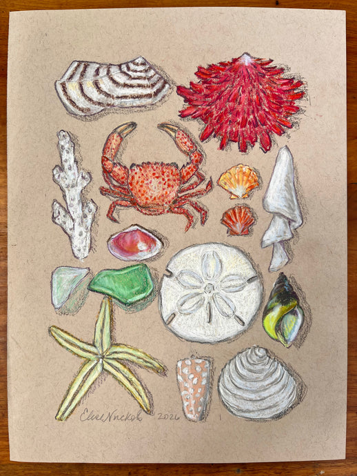 Beachcombing 28