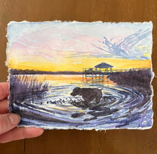 Sunset Swim