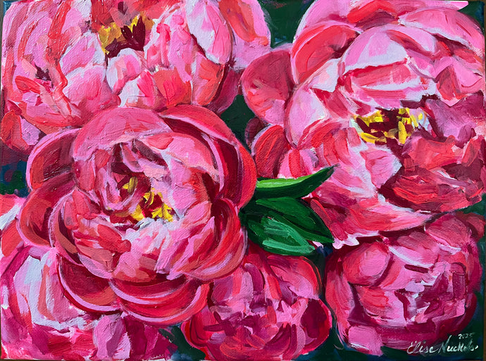 Coral Charm Peonies