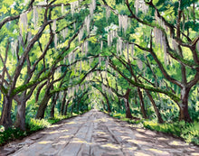 The Prettiest Drive