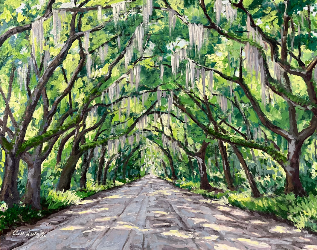 The Prettiest Drive