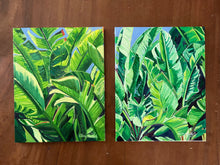 Banana Leaves