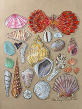 Beachcombing 17