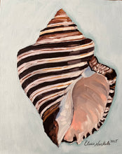 Thorn Latirus Shell