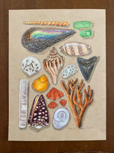 Beachcombing 24