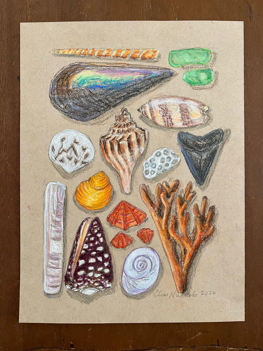Beachcombing 24