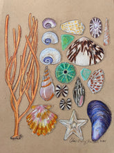 Beachcombing 18