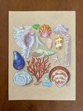 Beachcombing 14