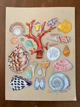 Beachcombing 15