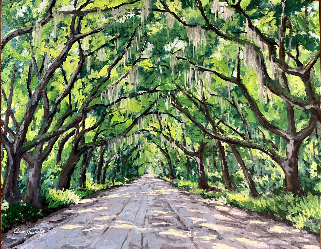 The Prettiest Drive