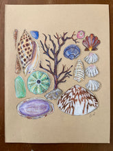 Beachcombing 12