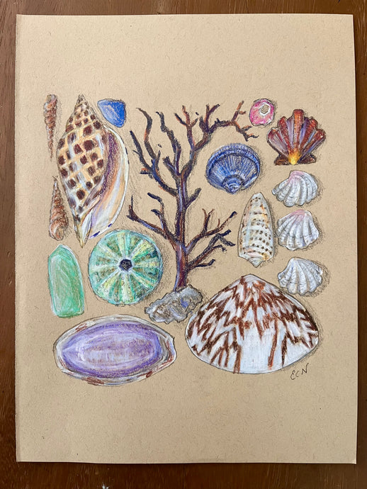Beachcombing 12