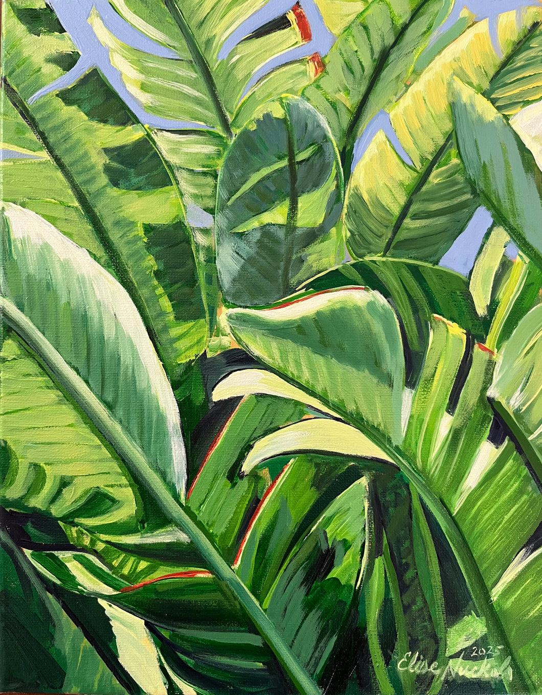 Banana Leaves