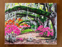 Azaleas and Live Oaks