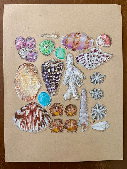 Beachcombing 9