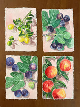 Figs on Pink II