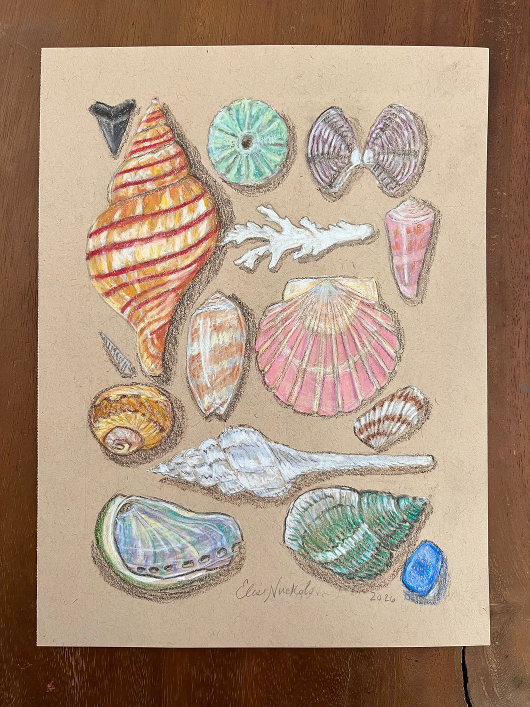 Beachcombing 26