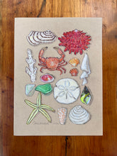 Beachcombing 28