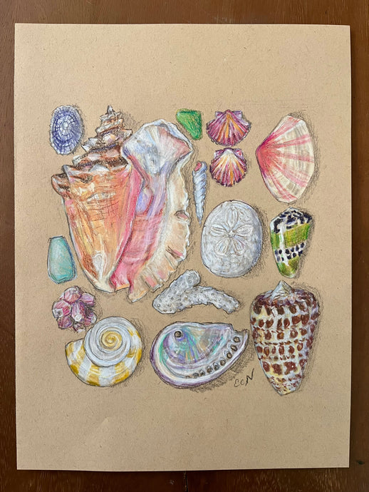 Beachcombing 11