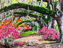 Azaleas and Live Oaks