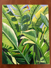 Banana Leaves