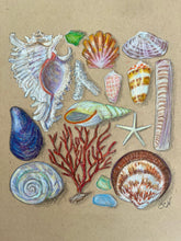 Beachcombing 14