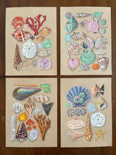Beachcombing 25