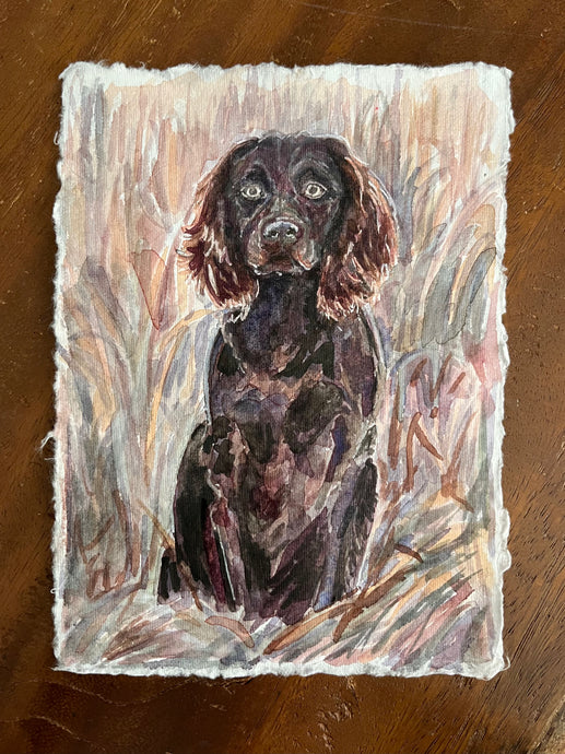 Good Boy(kin)