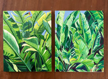 Banana Leaves