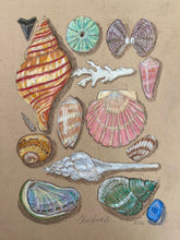 Beachcombing 26