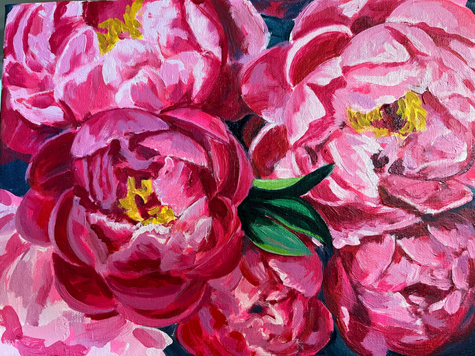 Coral Charm Peonies