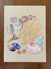 Beachcombing 2
