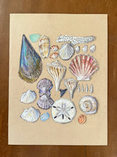 Beachcombing 1