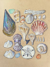 Beachcombing 1