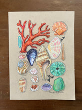 Beachcombing 21