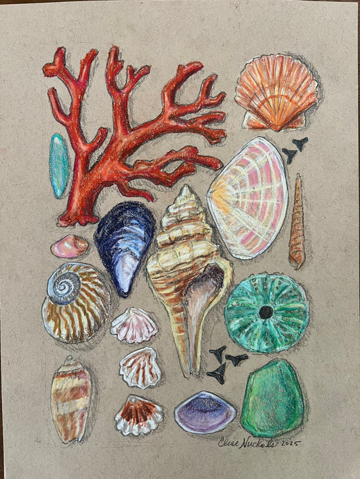 Beachcombing 21