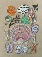 Beachcombing 20