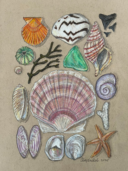 Beachcombing 20